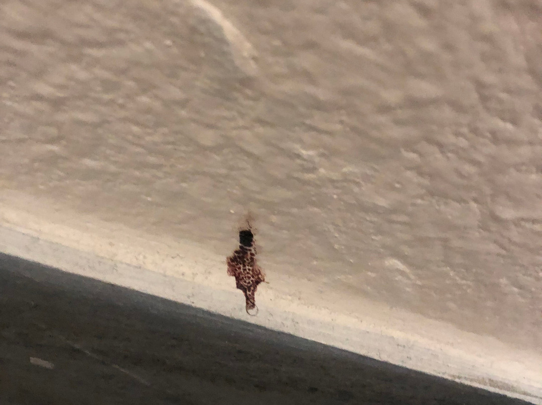 Days Inn by Wyndham Chattanooga / Hamilton Place主图