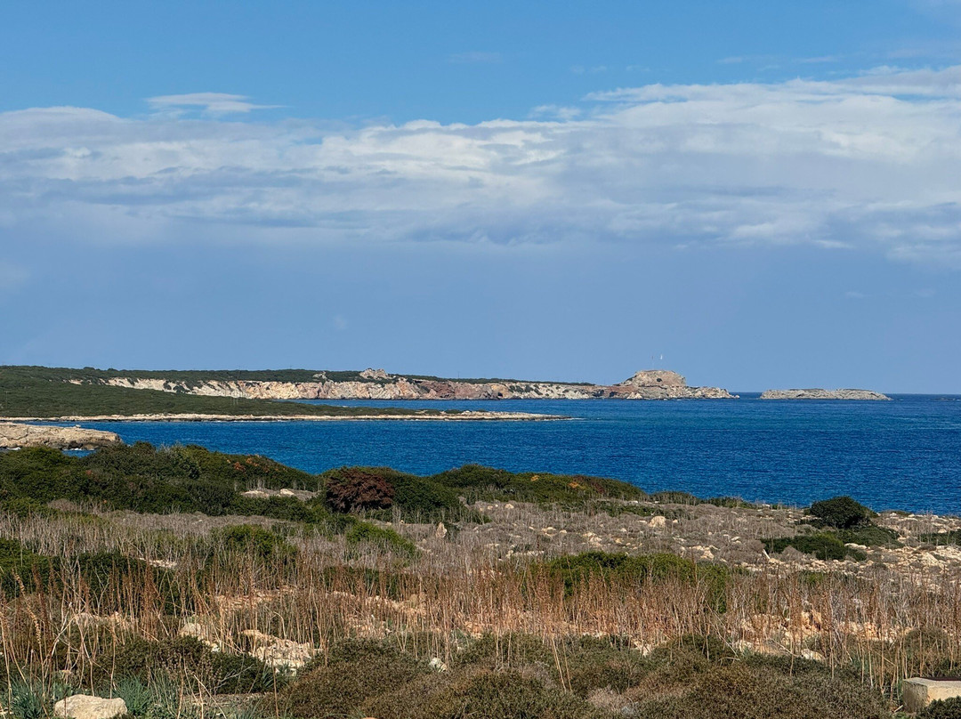 Cape Apostolos Andreas-Dipkarpaz必去景点
