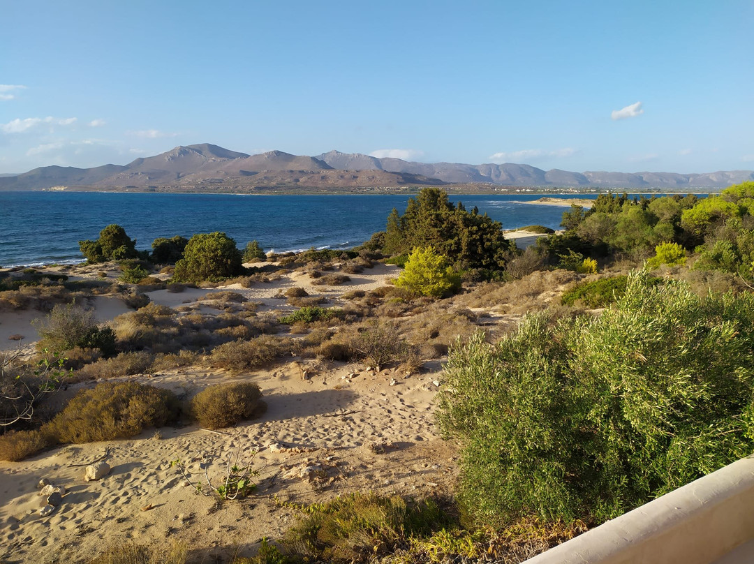 Eight Dimensions Capari Suites Elafonisos主图