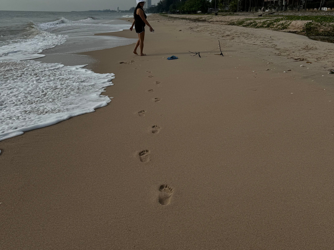 春地海滩度假村主图