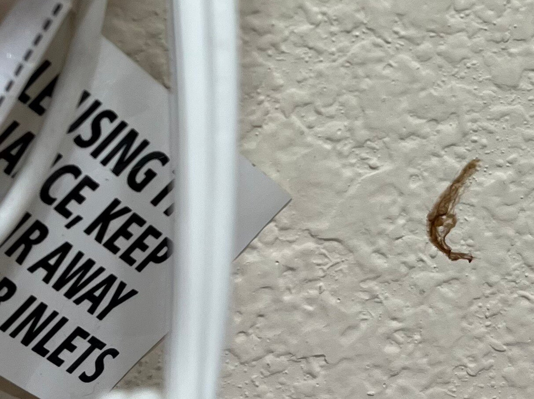 Red Roof Plus+ Nashville North - Goodlettsville主图