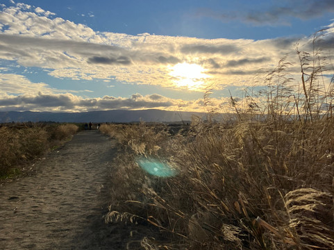 Alviso Marina County Park-Alviso必去景点
