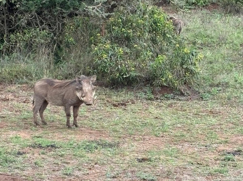 Epic Views Tours & Travel-内罗毕必去景点