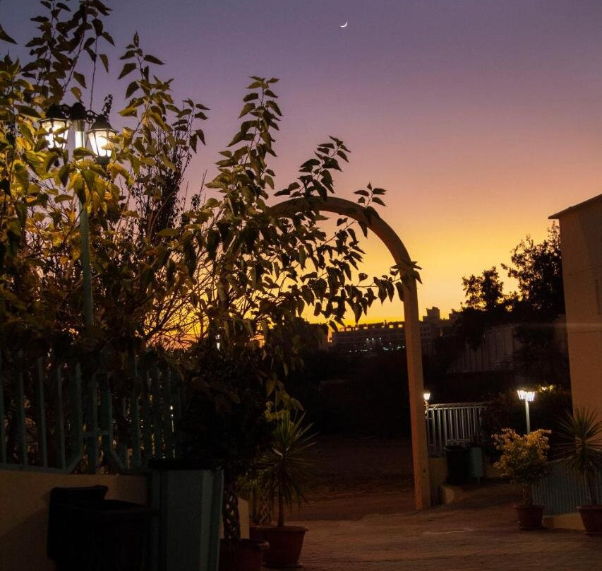 Seven Garden Alhada Suites