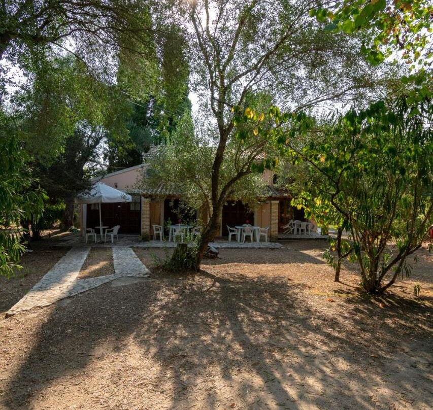 Villa Olive Apartments