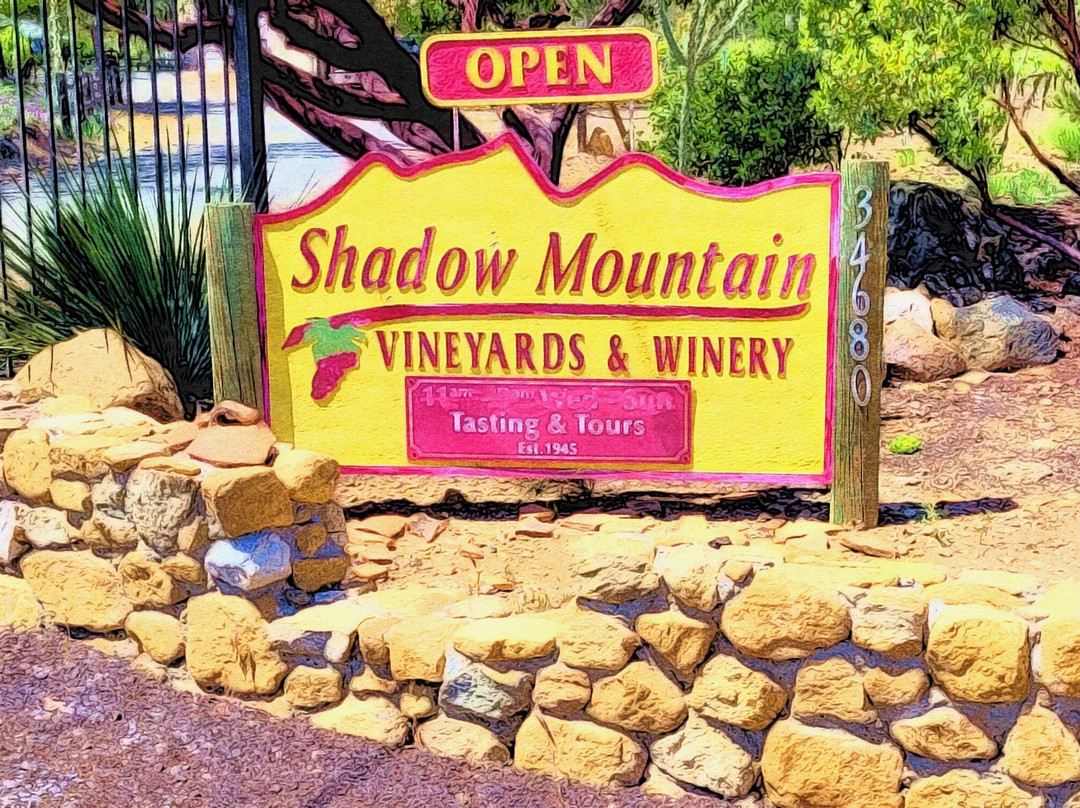 Shadow Mountain Vineyards & Winery景点图片