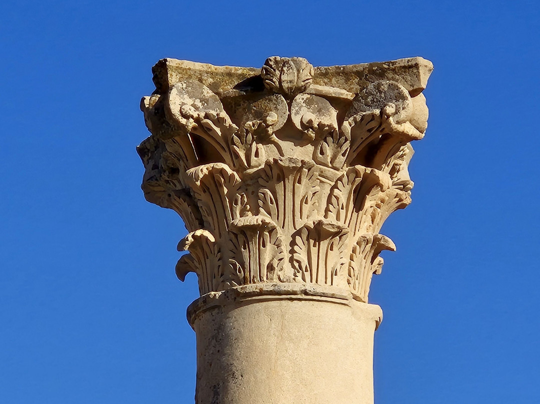 Roman Ruins Timgad景点图片