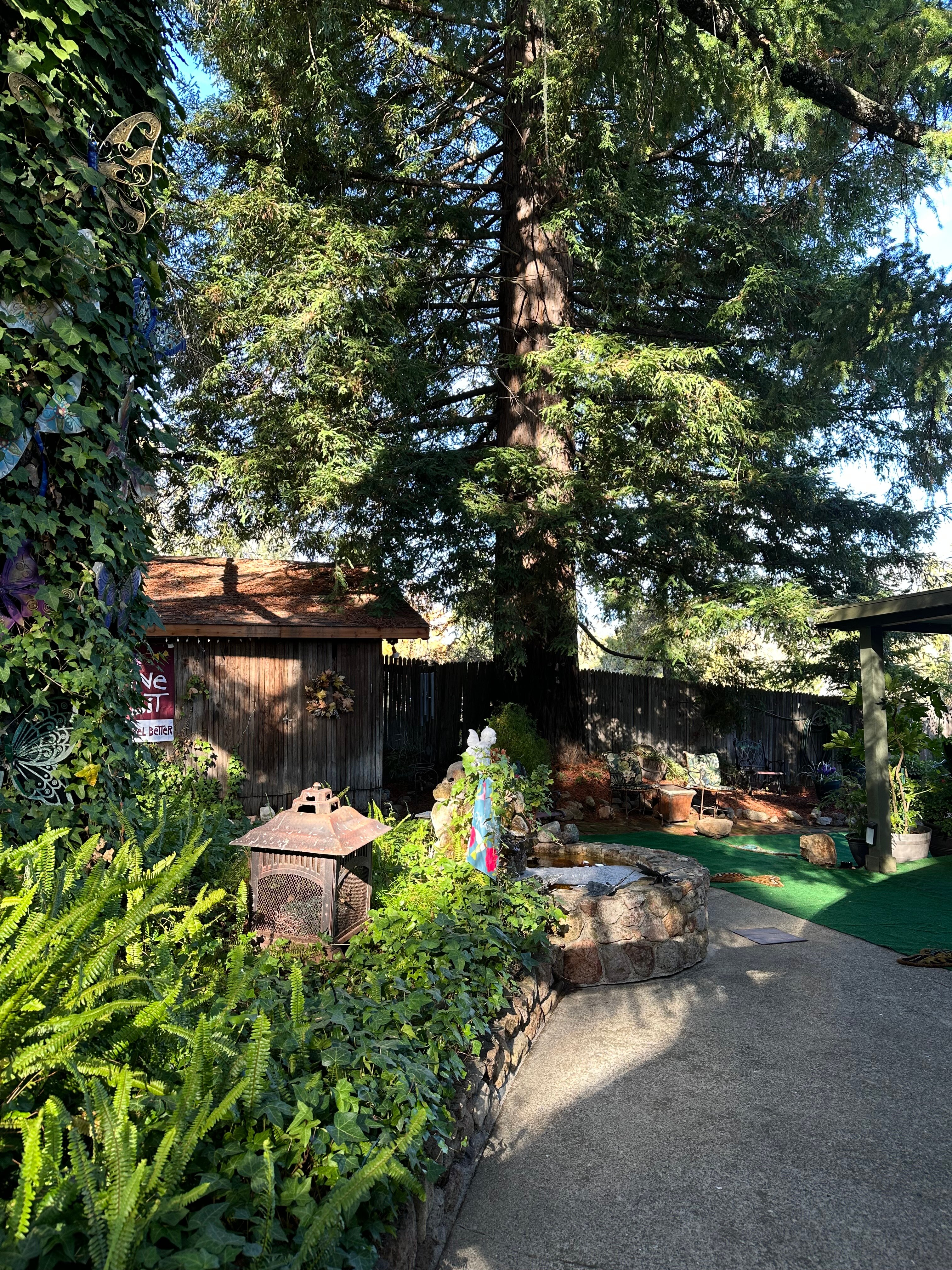 Potter's Foothill House B&B-浴室