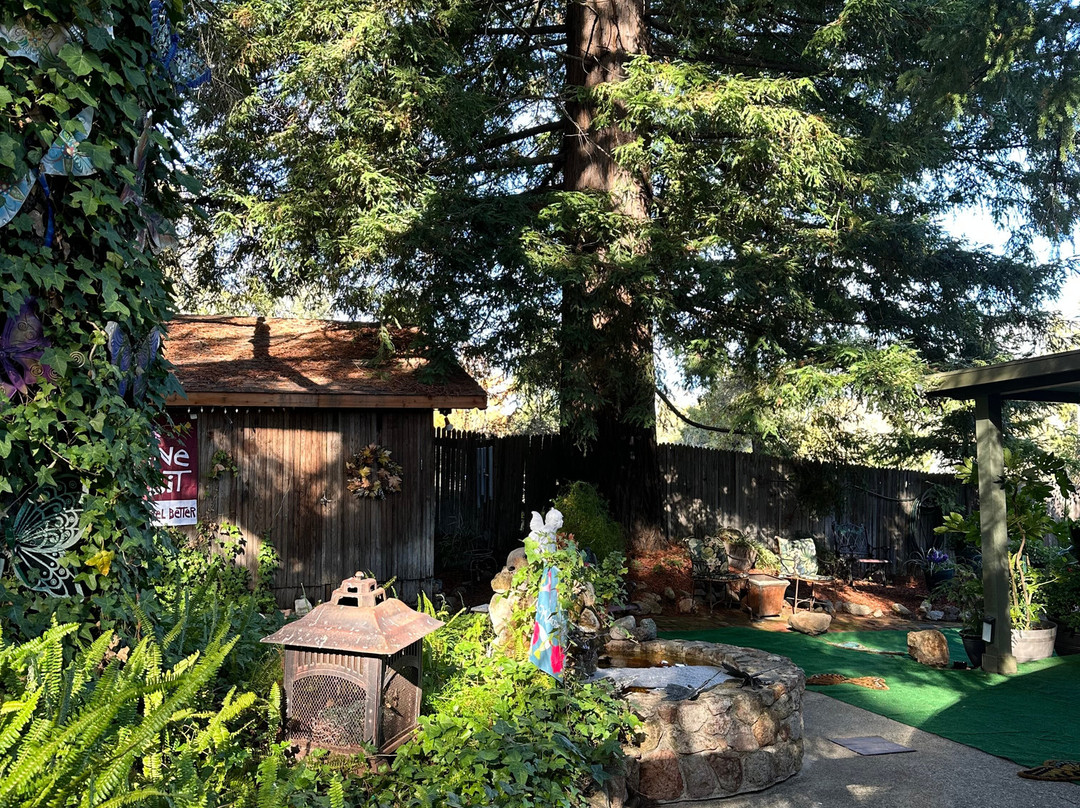 Potter's Foothill House B&B主图