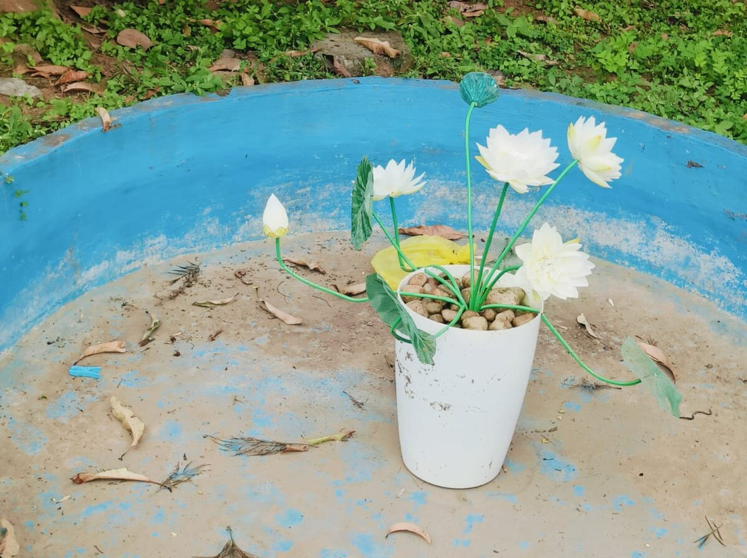 Wild Camp Resort主图