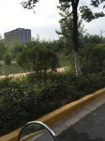高陵县旅游攻略图片