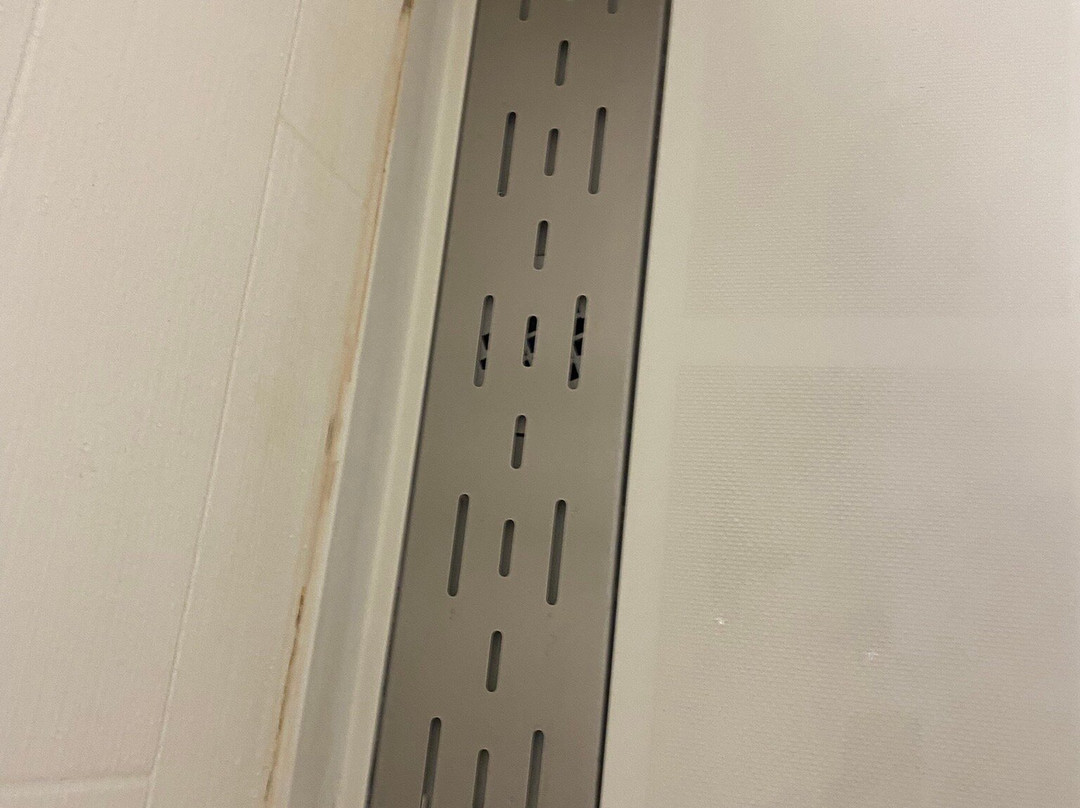 SpringHill Suites by Marriott Sarasota Bradenton主图