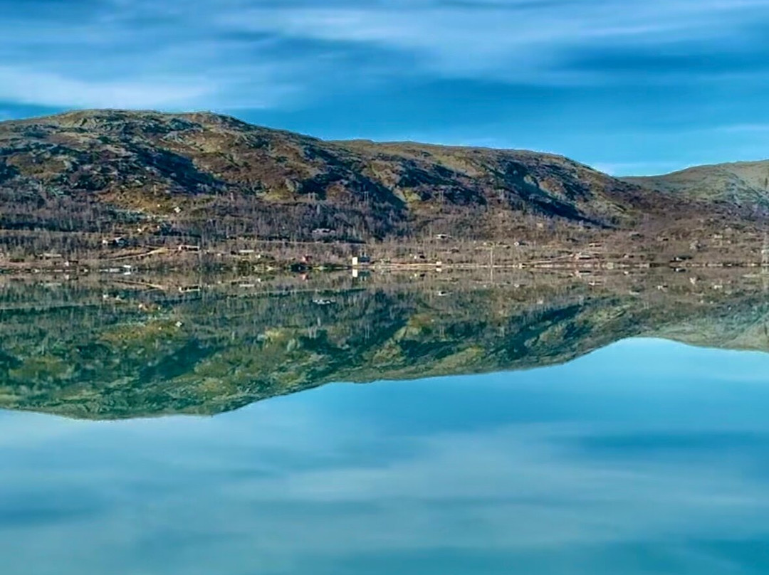 Bergen to Oslo Train Ride景点图片