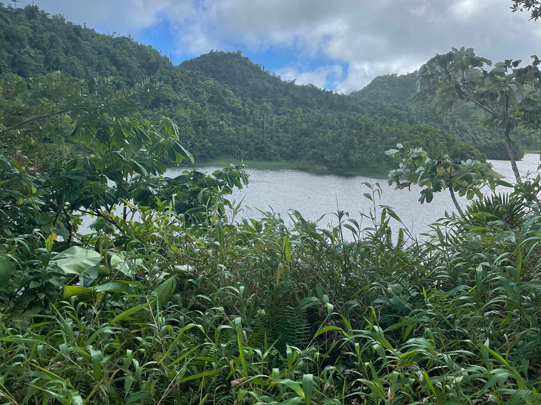 Trafalgar Falls-Morne Trois Pitons National Park必去景点