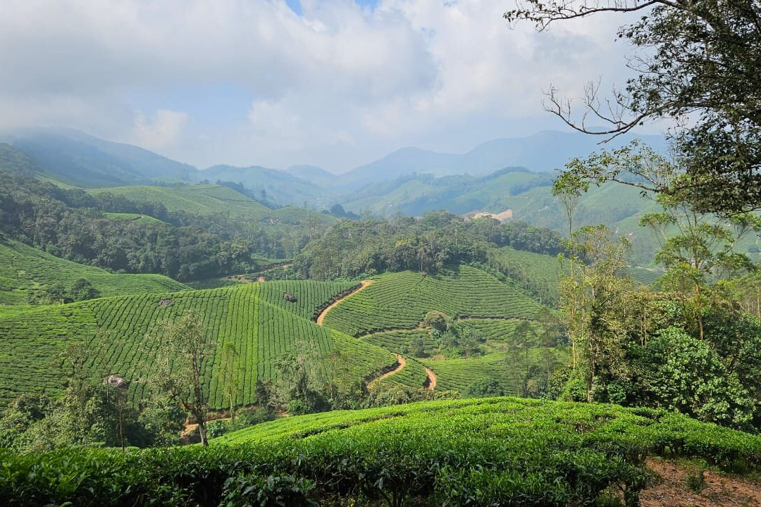 Munnar Nature Trekking Adventures景点图片