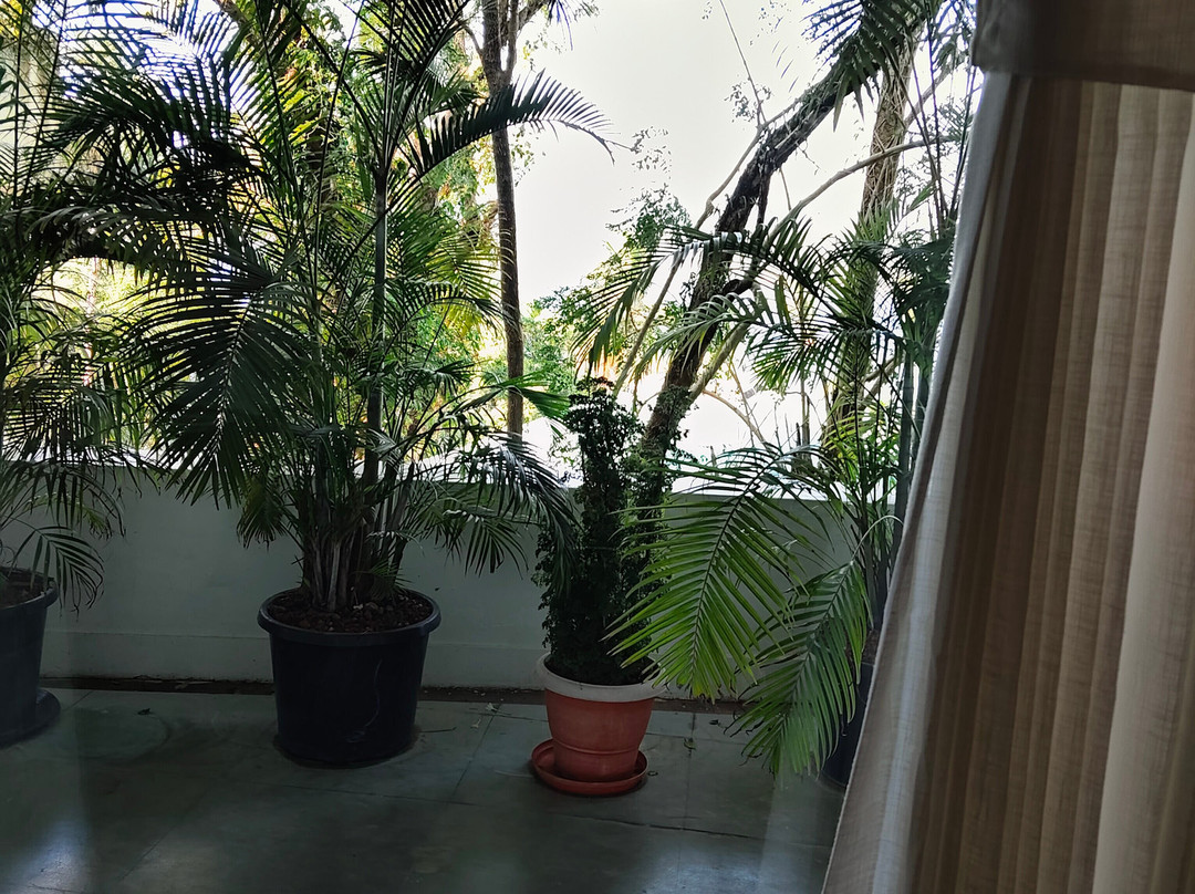 Seashell Port Blair主图