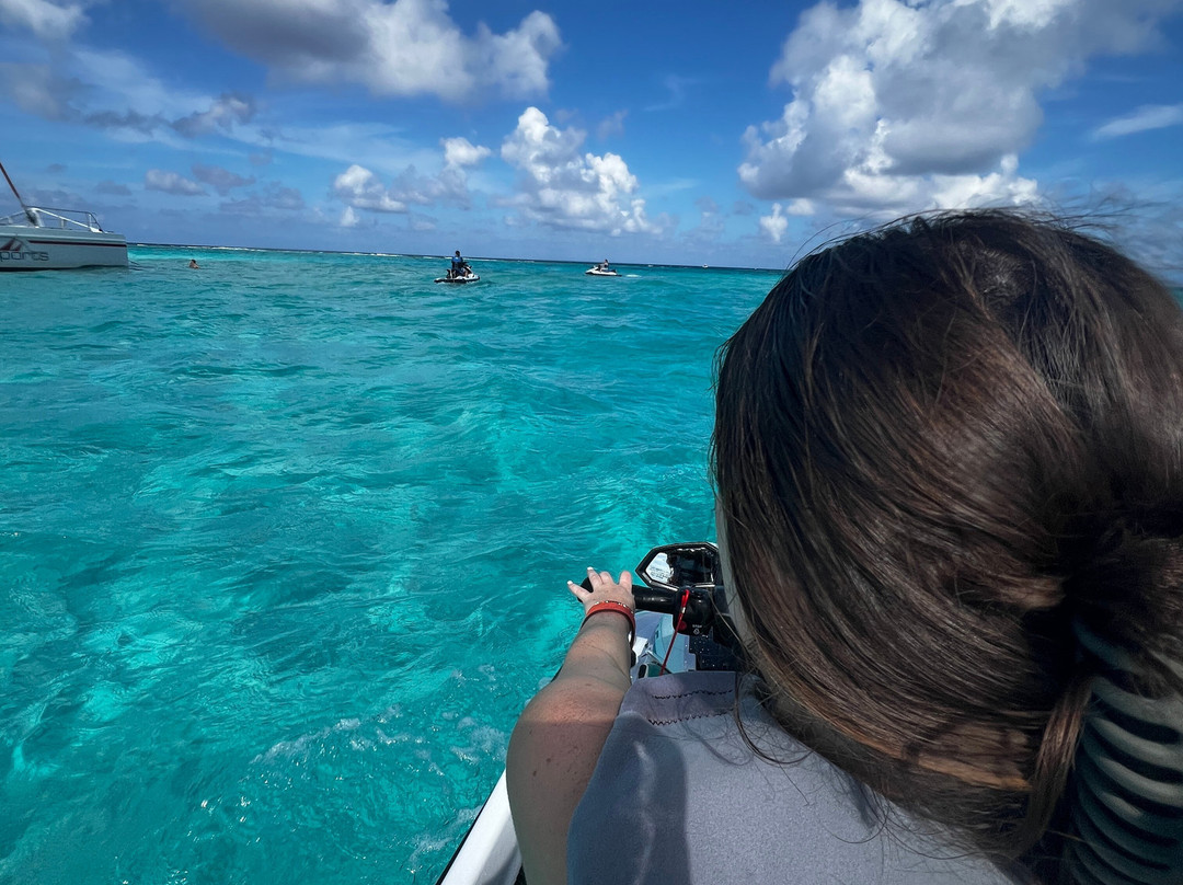 Fat Fish Adventures-大开曼岛必去景点