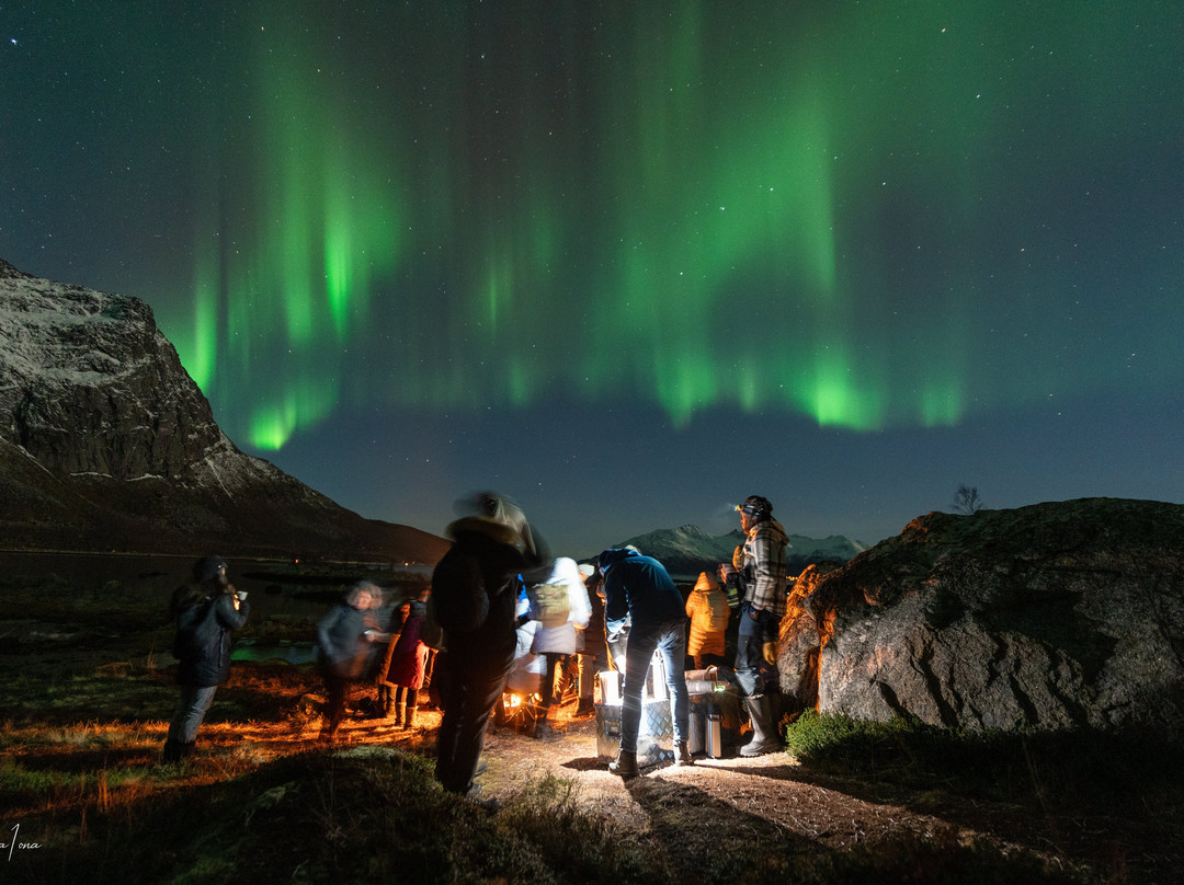 Northern Lights Safari景点图片