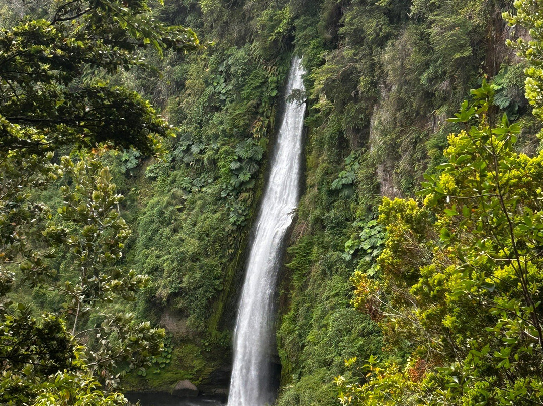 Cascadas de Tocoihue-Dalcahue必去景点