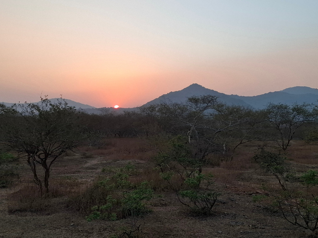 Barda Hills Wildlife Sanctuary-Jamnagar必去景点