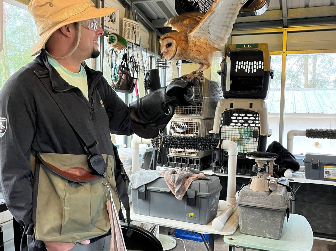 International Falconry Academy-Live Oak必去景点