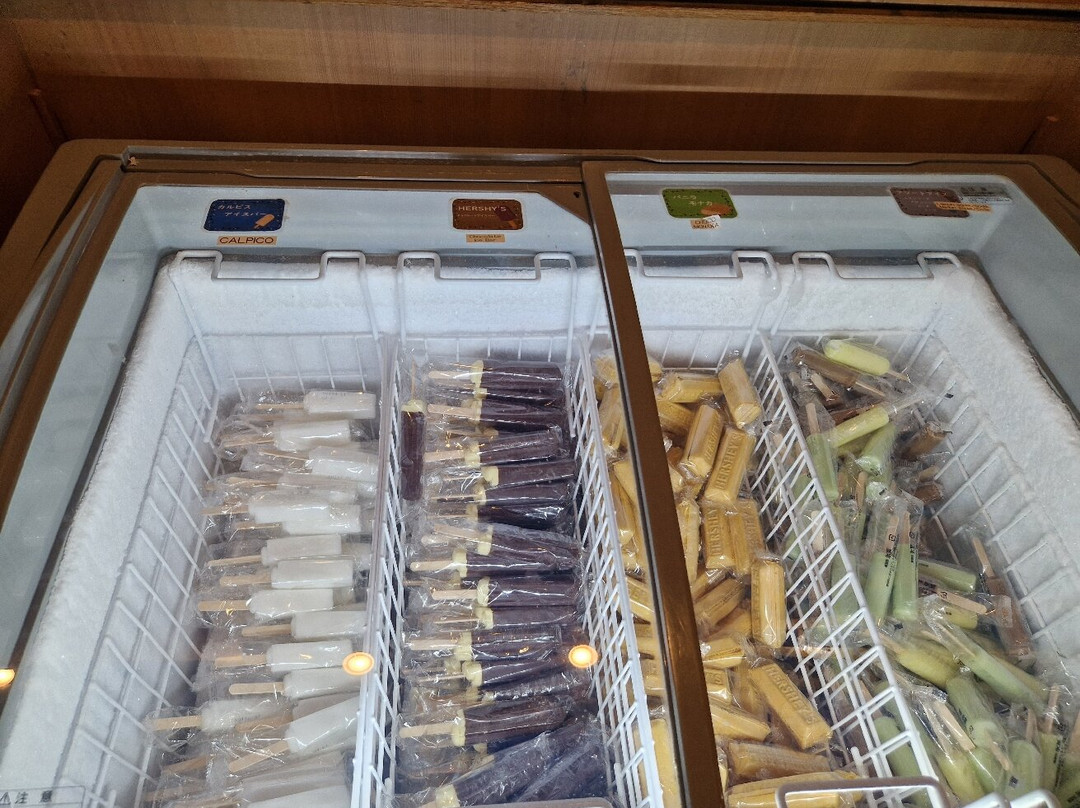 加贺宝泉御宿野乃金泽天然温泉酒店主图