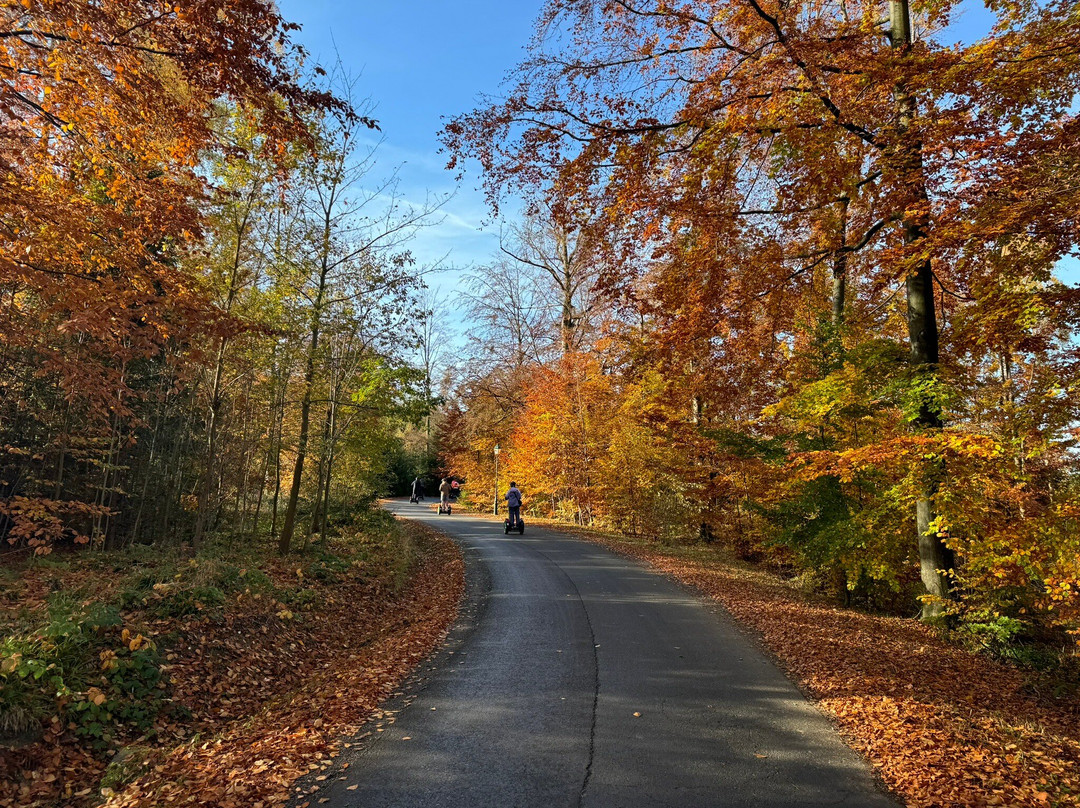 Segtours Eichsfeld - Segway Touren-Wingerode必去景点