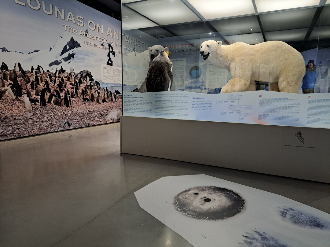 Ice Age Centre-塔尔图必去景点