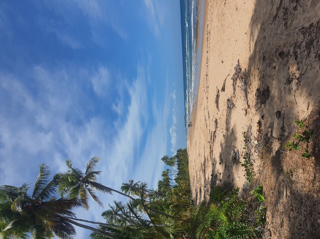 Bombaca Beach-Barra Grande必去景点