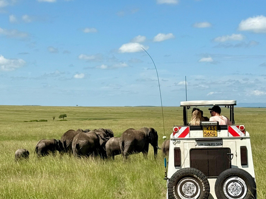 Aqua Paradise Safaris Day Tours景点图片