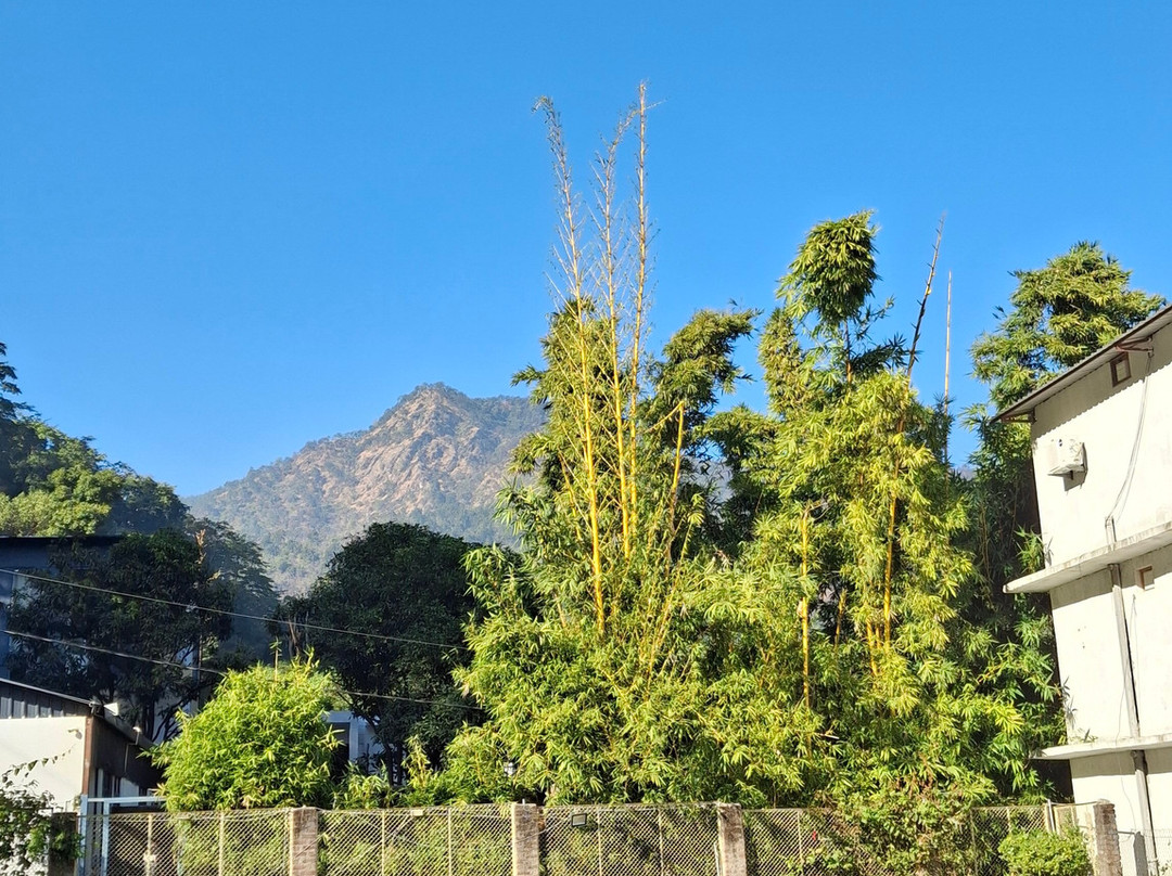 Nature's Valley Resort主图