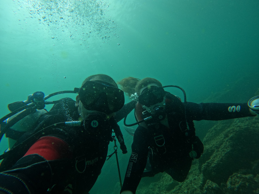 Reef Oasis Diving Center | Fujairah-Al Aqah必去景点