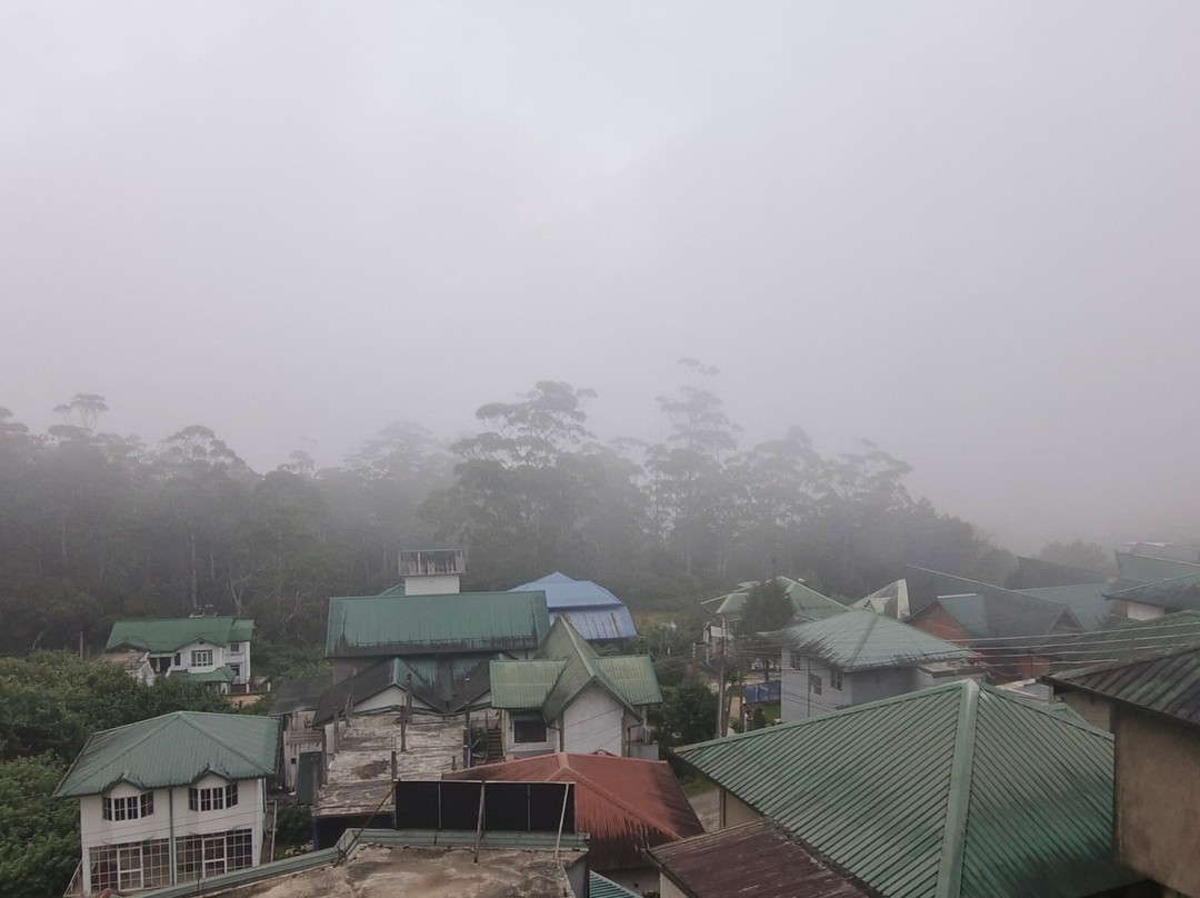 Top Terrace Cottage主图