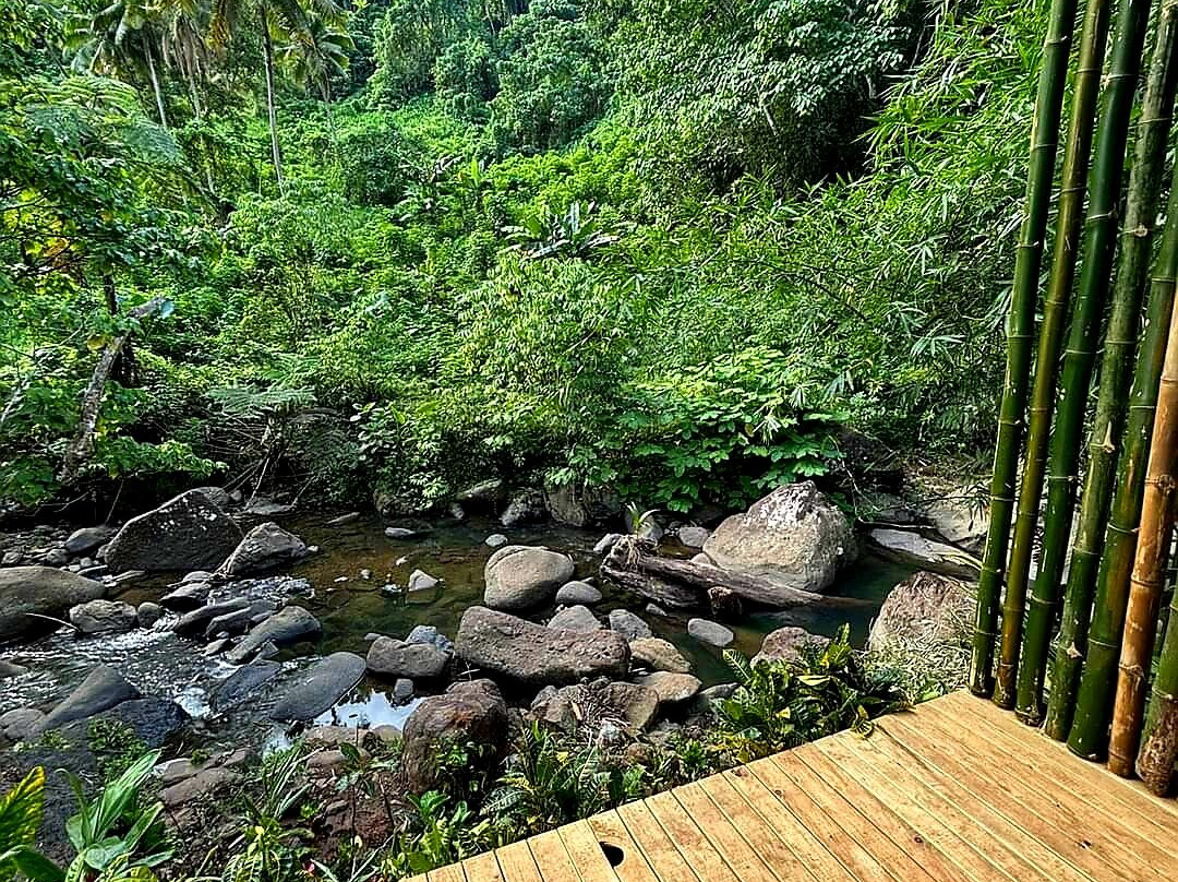 Vuadomo Waterfall - Muanivatu Trails-萨武萨武必去景点