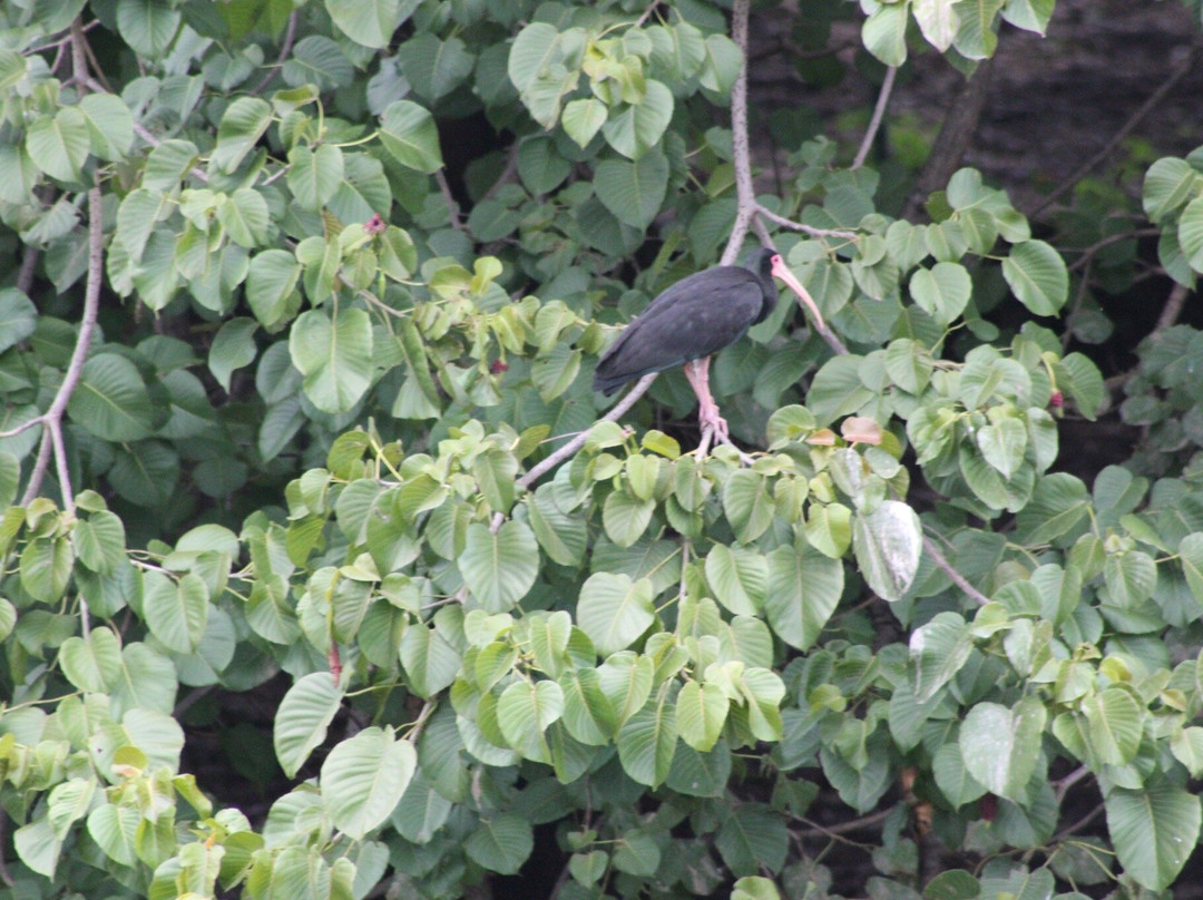 Parque Ecologico Da Pampulha-贝洛哈里桑塔必去景点
