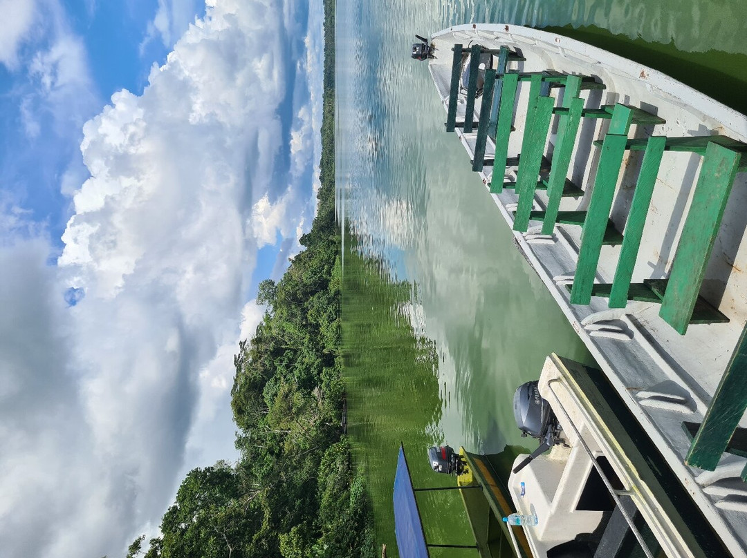 Limoncocha National Biological Reserve-Limoncocha必去景点