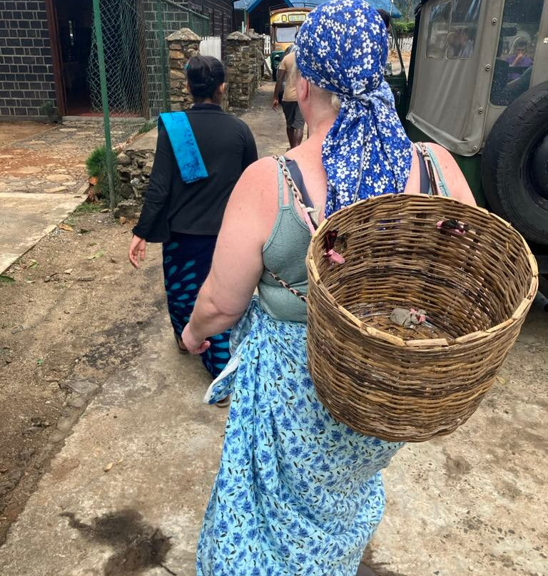 Green Lanka Travel and Tourism-Meegoda必去景点