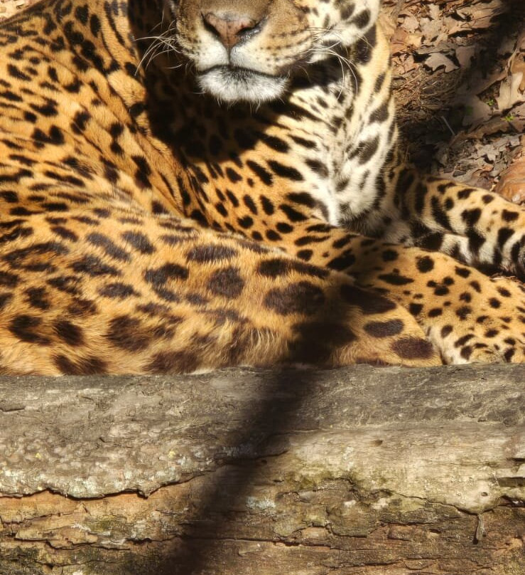 Parco Safari delle Langhe-Murazzano必去景点