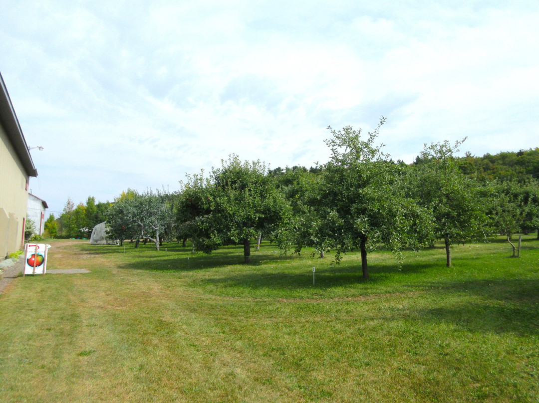 Les Vergers Du Cap-Cap-Saint-Ignace必去景点