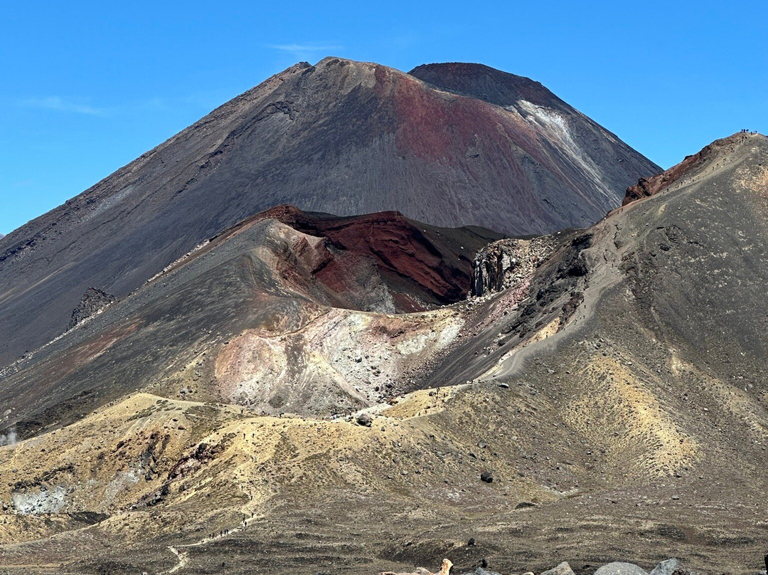 Tongariro Crossing Shuttles景点图片