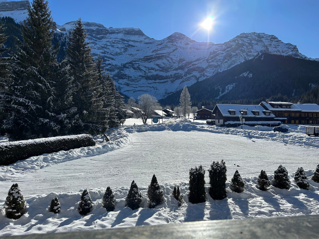 The Glacier Hotel主图