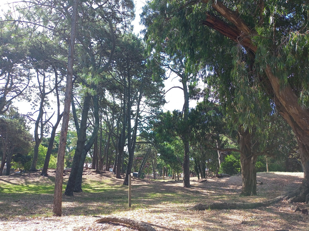 Plaza Del Bosque-San Bernardo必去景点