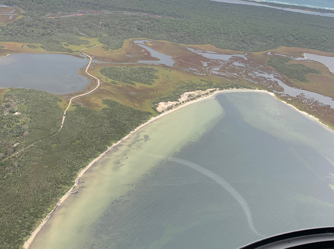 Lakes Entrance Helicopters-莱克斯恩特伦斯必去景点