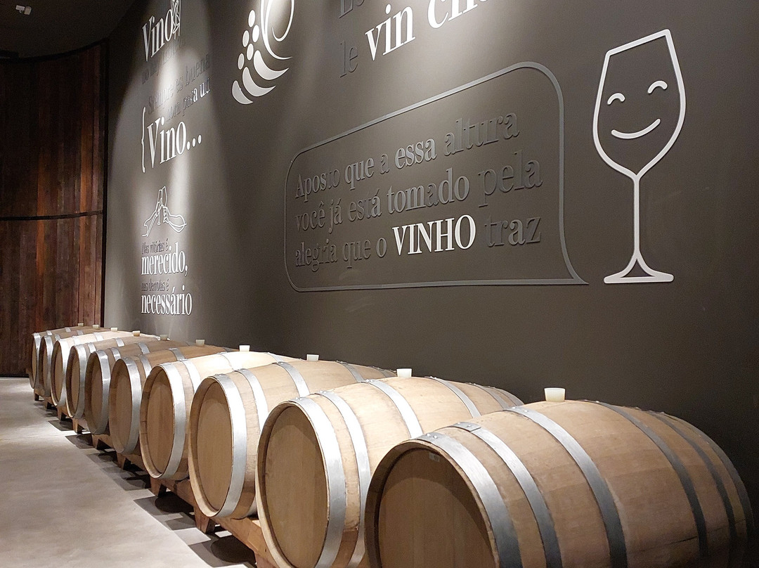 Cooperativa Vinicola Garibaldi景点图片