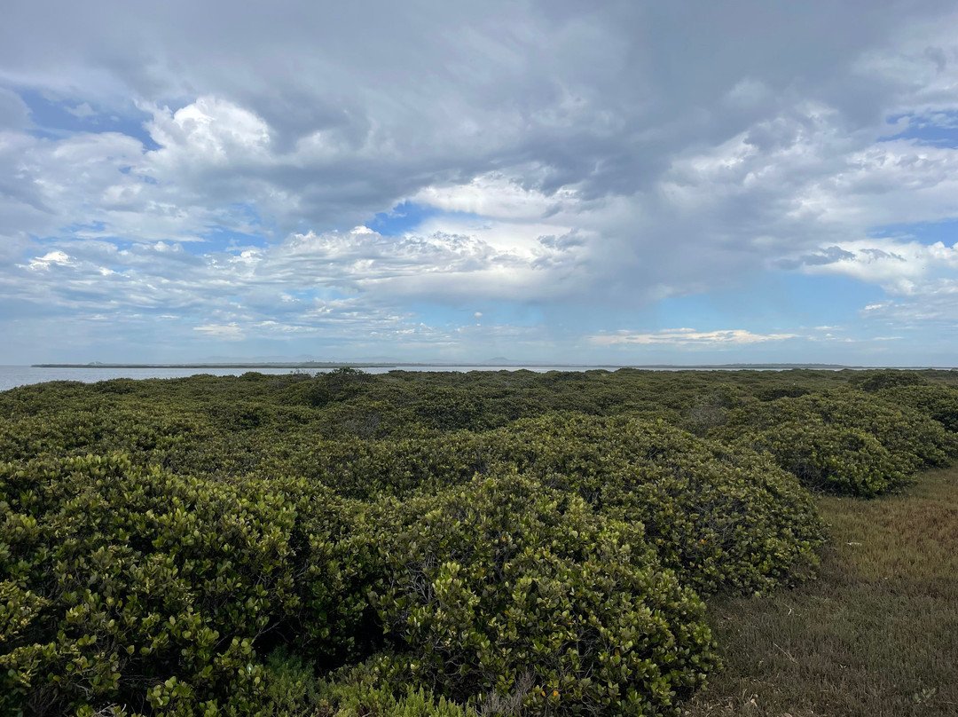 Christopher Robinson Walking Trail-Port Albert必去景点