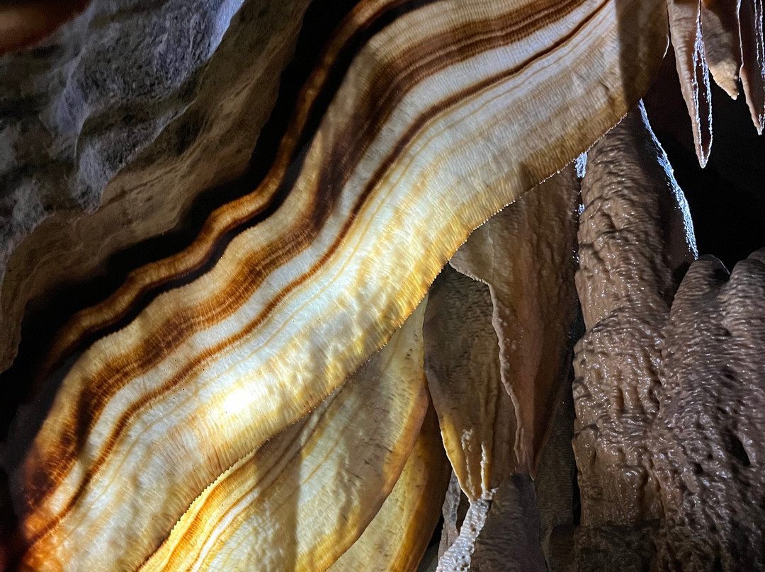 Buchan Caves Reserve景点图片