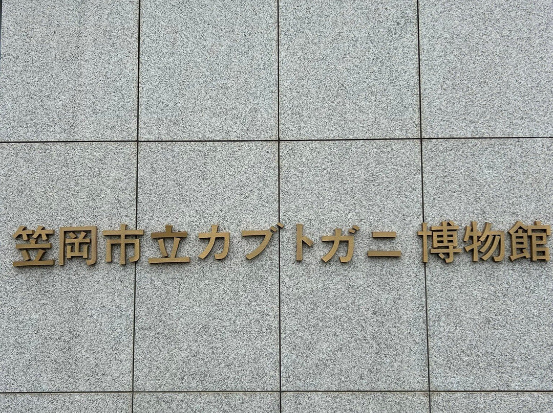 Hourseshoe Crab Museum-笠冈市必去景点