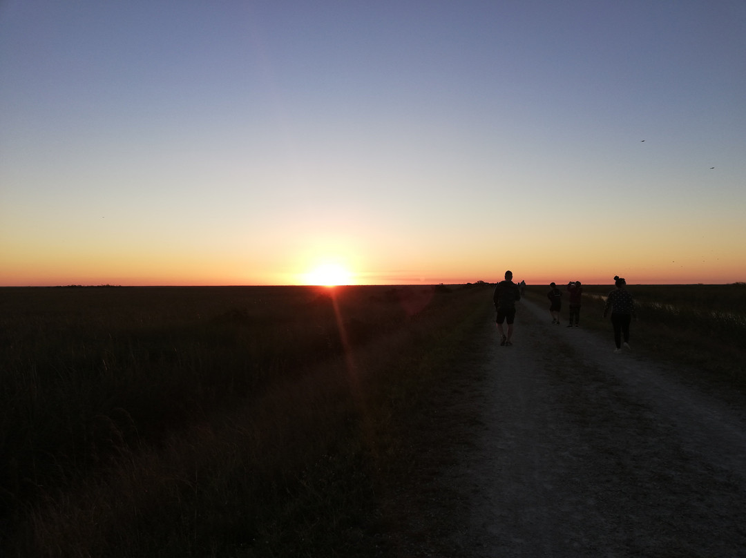 Sawgrass Trailhead At Atlantic Boulevard