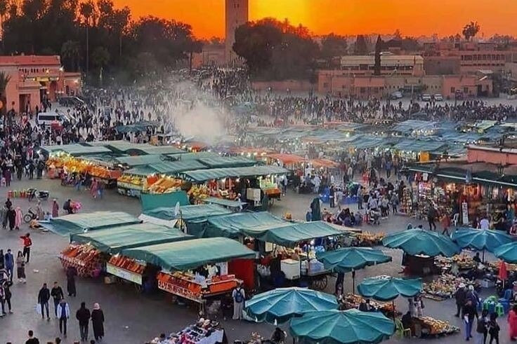 Amazouz Morocco Tours - Palmeraie-Palmeraie必去景点