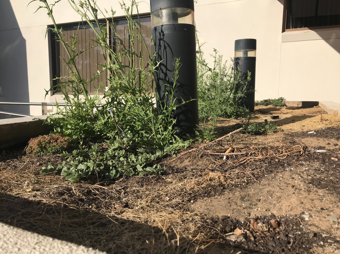 Bridges Villas at Cobram Barooga Golf Club主图